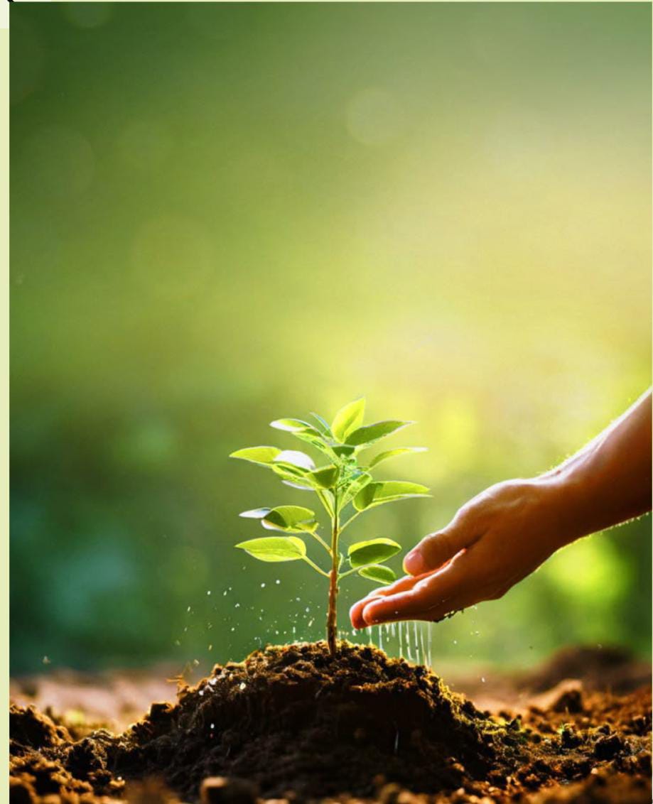 Spiritual Growth & Purpose Alignment